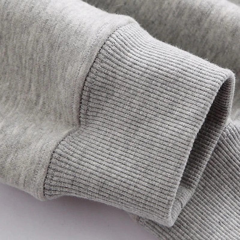 Thick Warm Lambswool Hoodie Jacket for Men's Fall/Winter