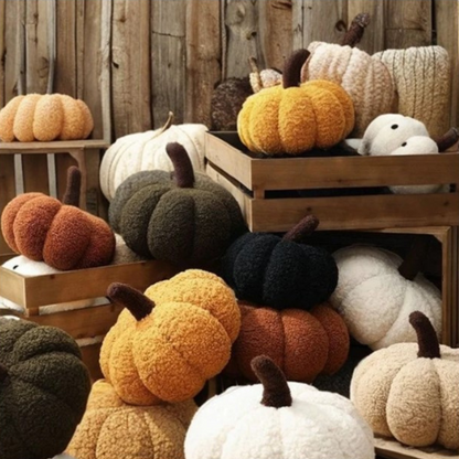 AUSHC - Pillow-Shaped Pumpkins